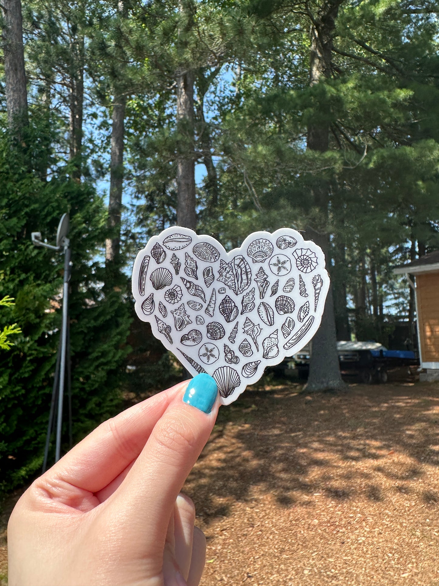 Waterproof Heart Shell Sticker