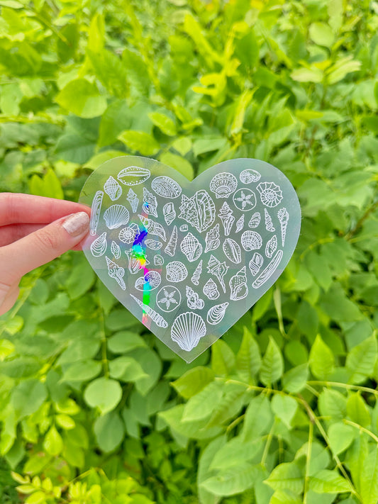 Heart Shell Suncatcher Window Decal/Sticker